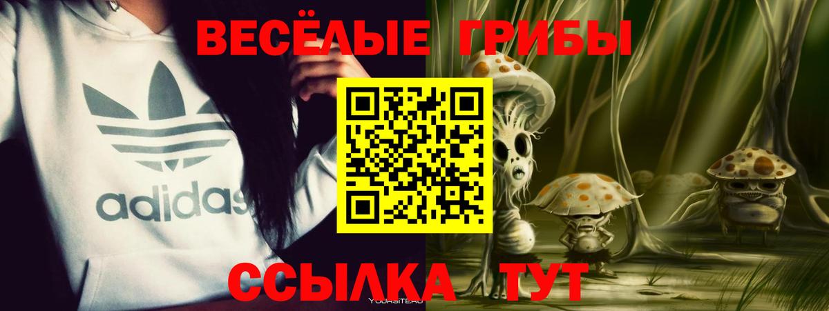 Псилоцибиновые грибы GOLDEN TEACHER  Вход с VPN  Тихвин 